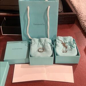 Tiffany & Co. Silver Eternity Symbol Necklace